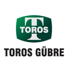 Toros